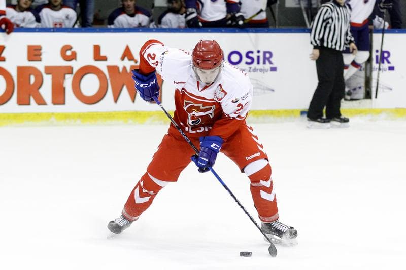 Ice Hockey. International Friendly Match. Poland - Slovakia B. 07.04.2017