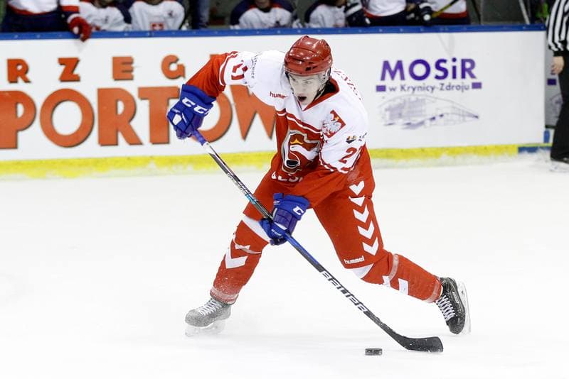 Ice Hockey. International Friendly Match. Poland - Slovakia B. 07.04.2017