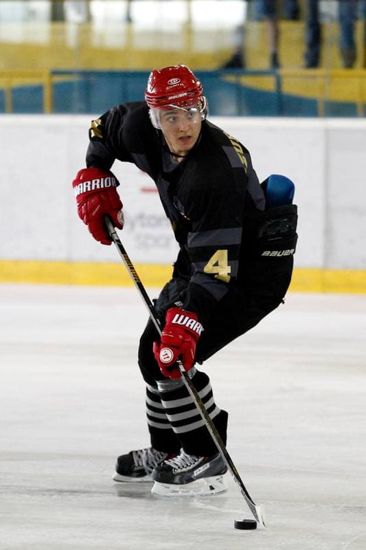 Ice Hockey. Sparing. Polonia Bytom - Comarch Cracovia. 15.08.2017