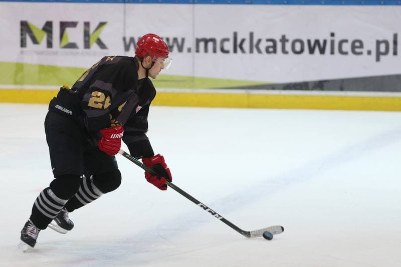 Ice Hockey. Polska Hokej Liga. SMS PZHL Katowice - Comarch Cracovia Krakow. 15.10.2017