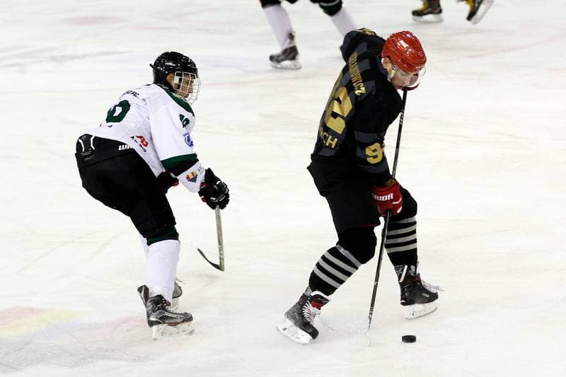Ice Hockey. Polska Hokej Liga. Anteo Naprzod Janow - Comarch Cracovia Krakow. 19.01.2018