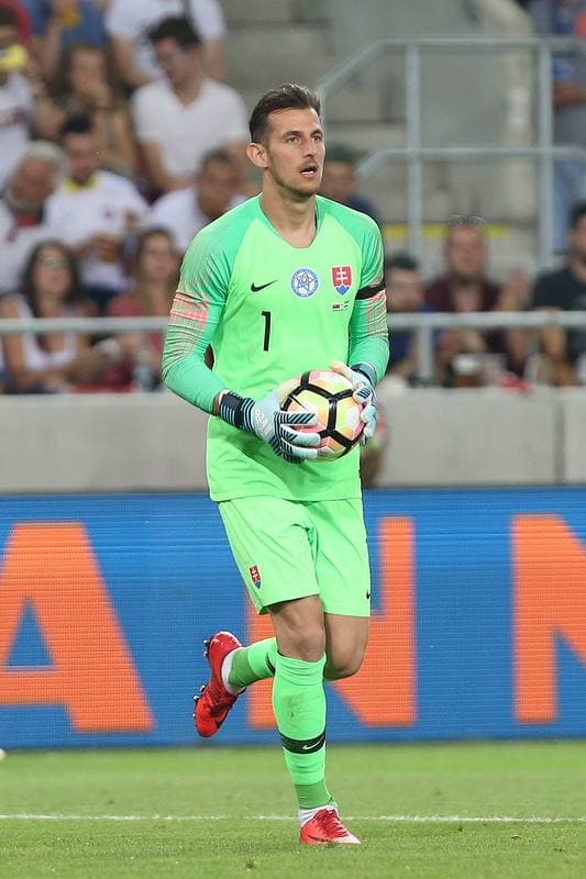 Football. International Friendly. Slovakia - Netherlands. 31.05.2018