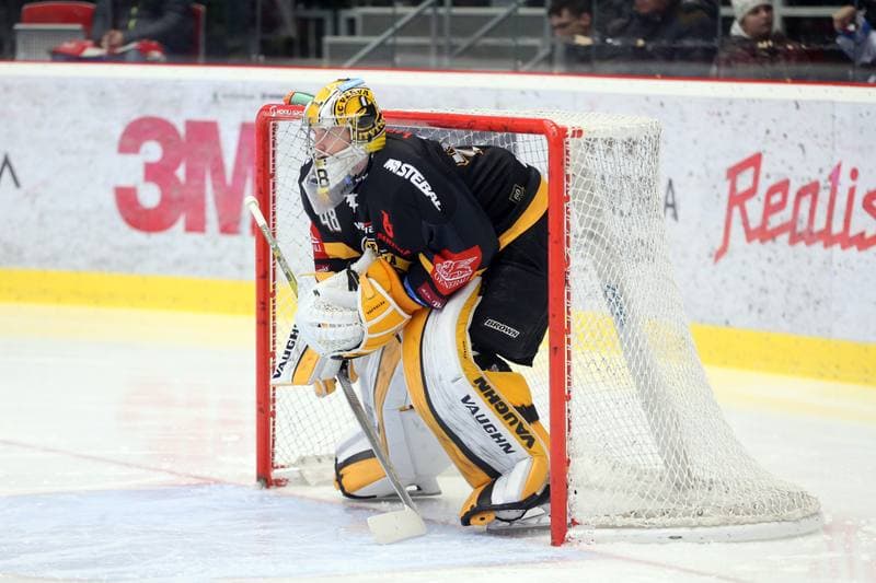 Ice Hockey. Tipsport Extraliga. Ocelari Trinec - HC Verva Litvinov. 06.01.2019