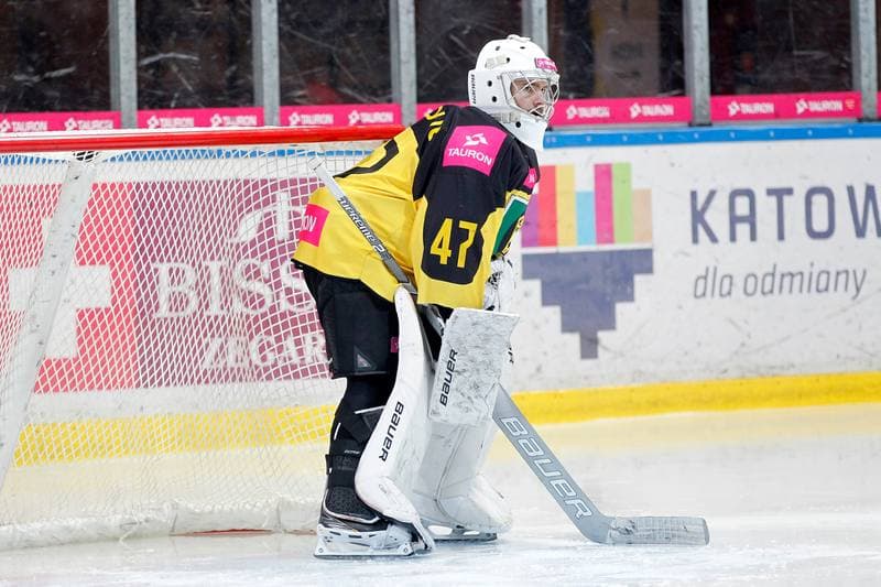 Ice Hockey. Tauron Hokej Liga. Tauron KH GKS Katowice - Comarch Cracovia. 17.01.2019