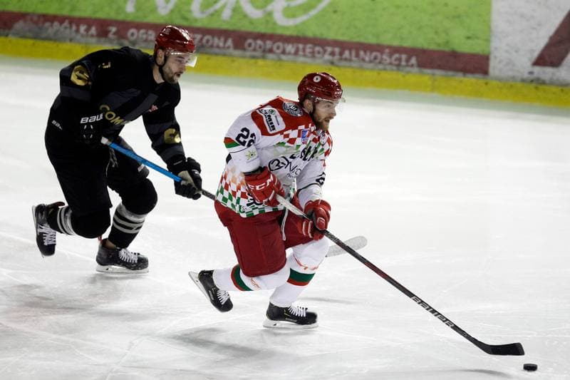 Ice Hockey. Polska Hokej Liga. Zaglebie Sosnowiec - Comarch Cracovia. 22.01.2019