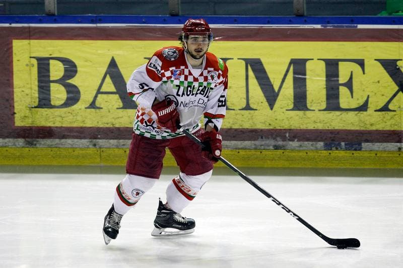 Ice Hockey. Polska Hokej Liga. Zaglebie Sosnowiec - Comarch Cracovia. 22.01.2019