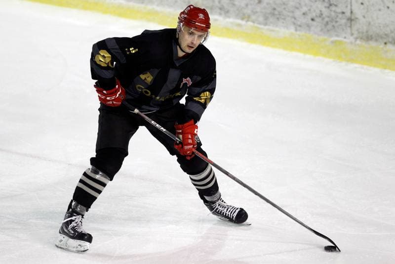 Ice Hockey. Polska Hokej Liga. Zaglebie Sosnowiec - Comarch Cracovia. 22.01.2019