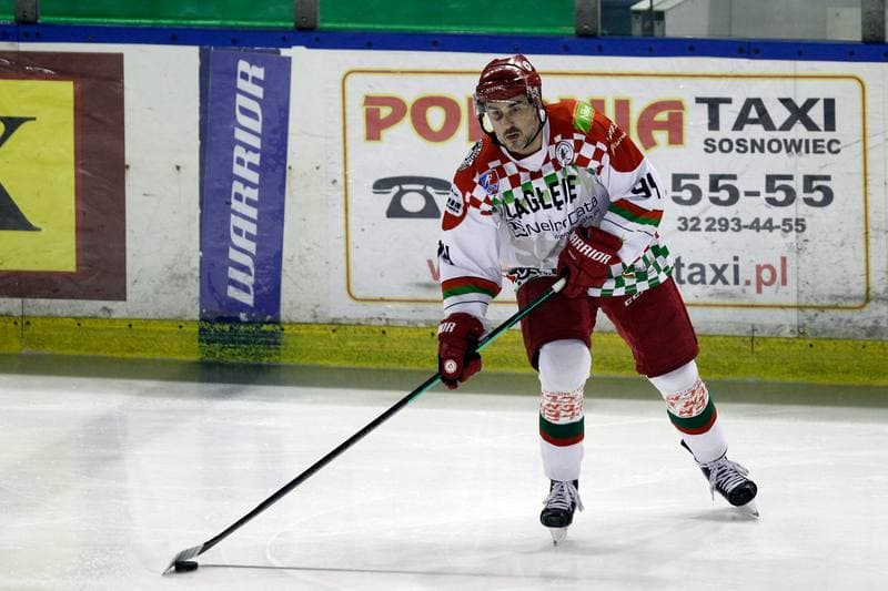 Ice Hockey. Polska Hokej Liga. Zaglebie Sosnowiec - Comarch Cracovia. 22.01.2019
