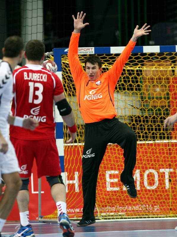 Football. International Friendly. Poland - Czech Republic. 17.11.2015