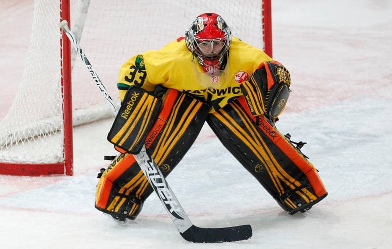 Ice Hockey. Polska Hokej Liga. HC GKS Katowice - Aksam Unia Oswiecim. 10.01.2014