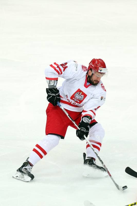 Ice Hockey. World Championship Division 1A. Poland - Slovenia. 26.04.2016
