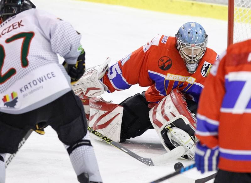 Ice Hockey. Polska Hokej Liga. Naprzod Janow - Polonia Bytom. 02.11.2014