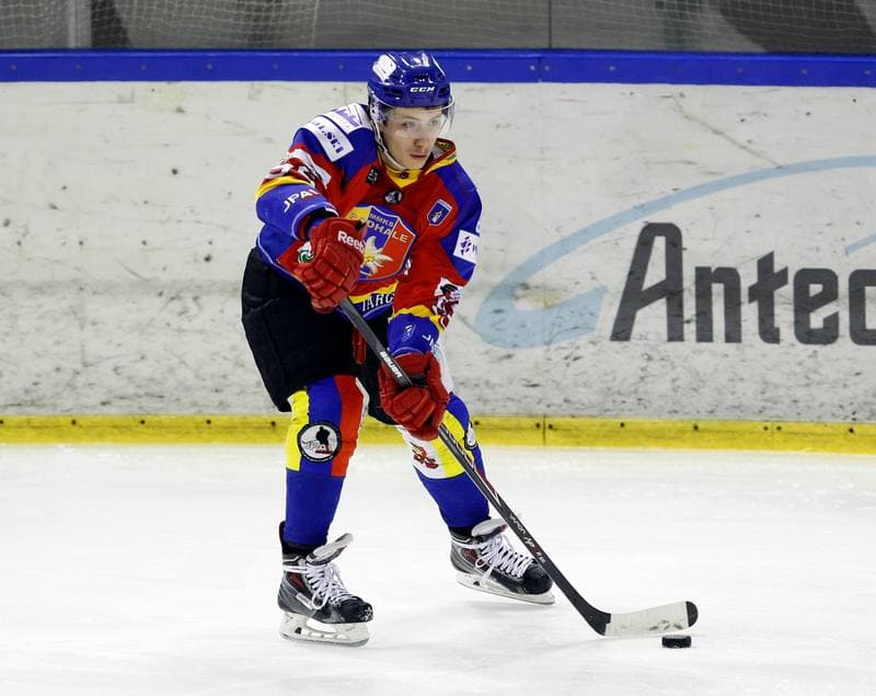 Ice Hockey. Tauron Hokej Liga. Naprzod Janow - Podhale Nowy Targ. 14.11.2014