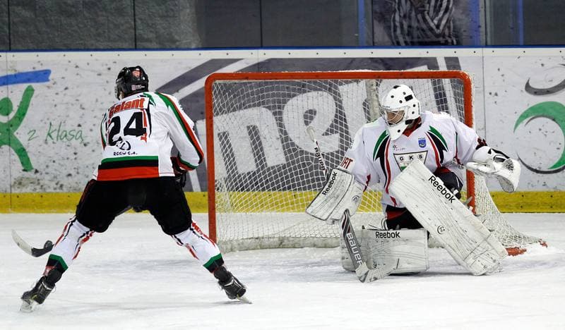 Ice Hockey. Polska Hokej Liga. GKS Tychy - Ciarko KH Sanok. 24.01.2014