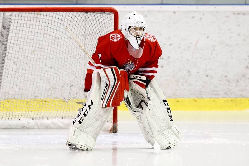 Ice Hockey. Women's Friendly Match. Poland - Ontario. 04.04.2017