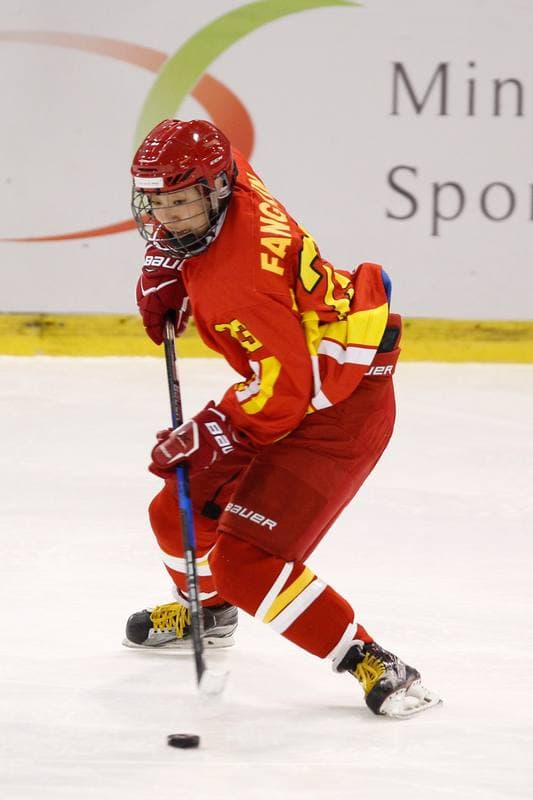 Ice Hockey. Women's World Championship. Latvia - China. 09.04.2017
