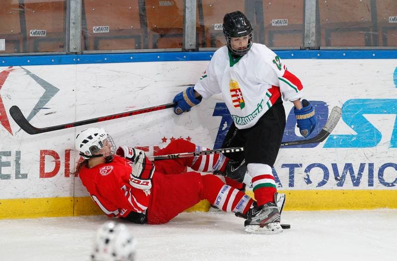 Ice Hockey. International Women's Friendly Match. Poland - Hungary. 18.01.2014
