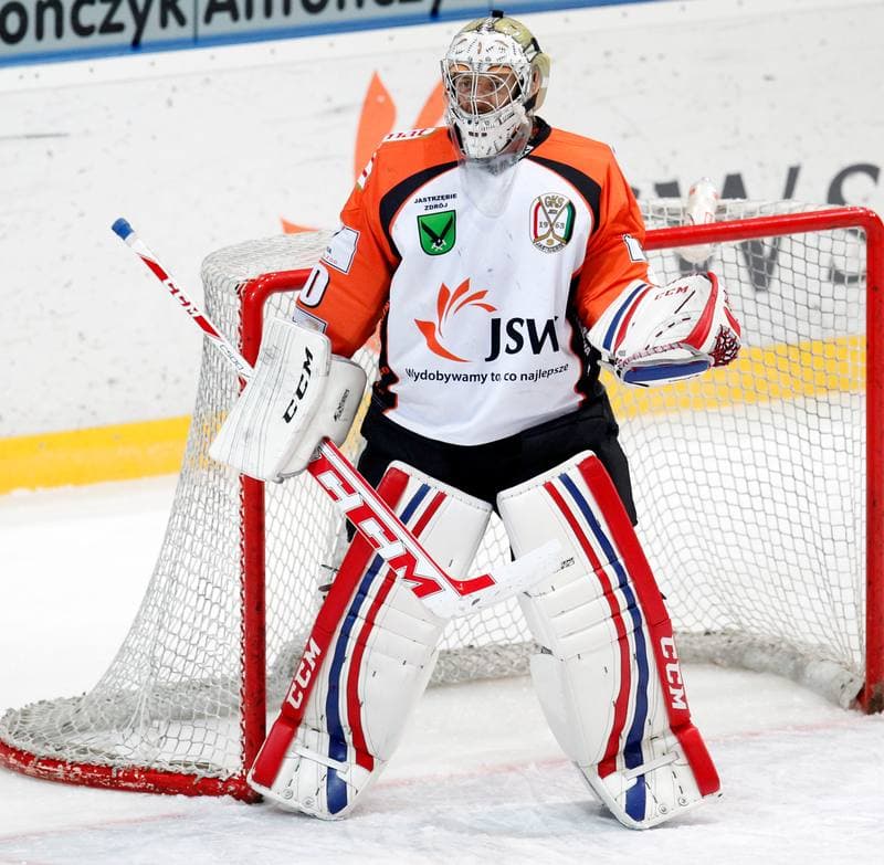 Ice Hockey. Polska Hokej Liga. JKH GKS Jastrzebie - Podhale Nowy Targ. 29.01.2014