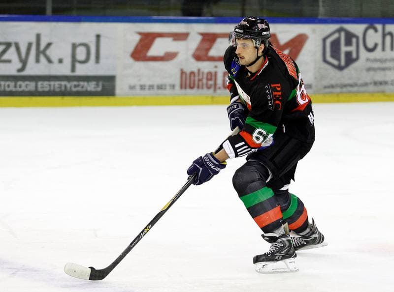 Ice Hockey. Polska Hokej Liga. HC GKS Katowice - GKS Tychy. 14.11.2014