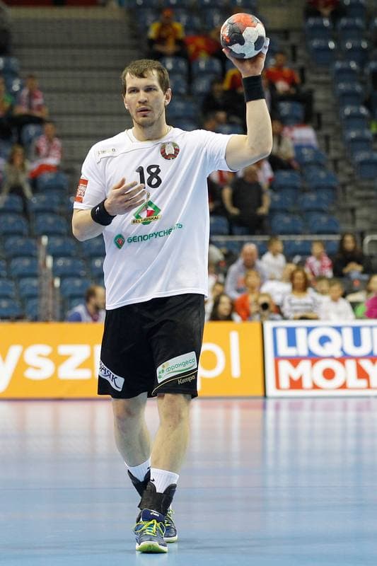 Handball. EHF Euro 2016. France - Belarus. 21.01.2016