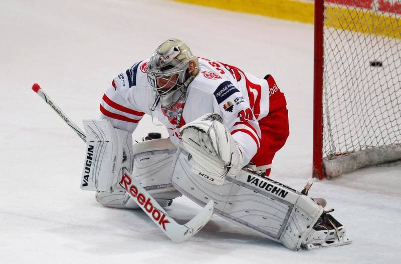 Ice Hockey. International Friendly Match. Poland - Lithuania. 14.04.2016
