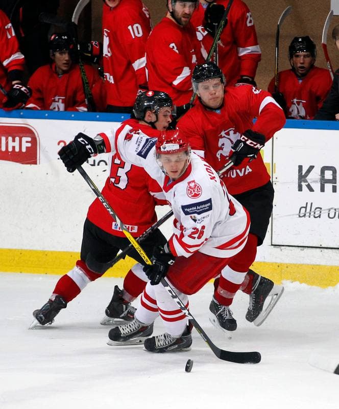 Ice Hockey. International Friendly Match. Poland - Lithuania. 14.04.2016