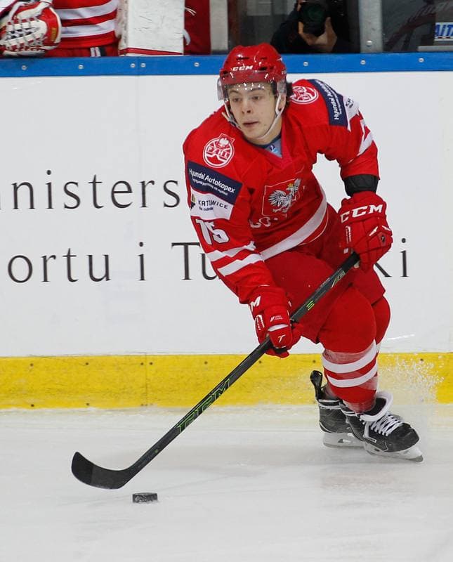 Ice Hockey. International Friendly Match. Poland - Korea. 16.04.2016