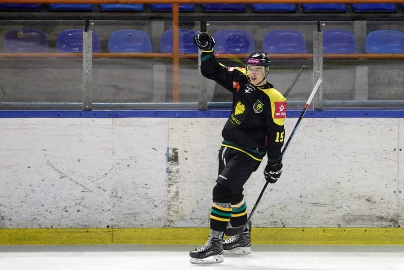 Ice Hockey. Polska Hokej Liga. SMS PZHL Sosnowiec - Tauron KH GKS Katowice. 31.01.2017