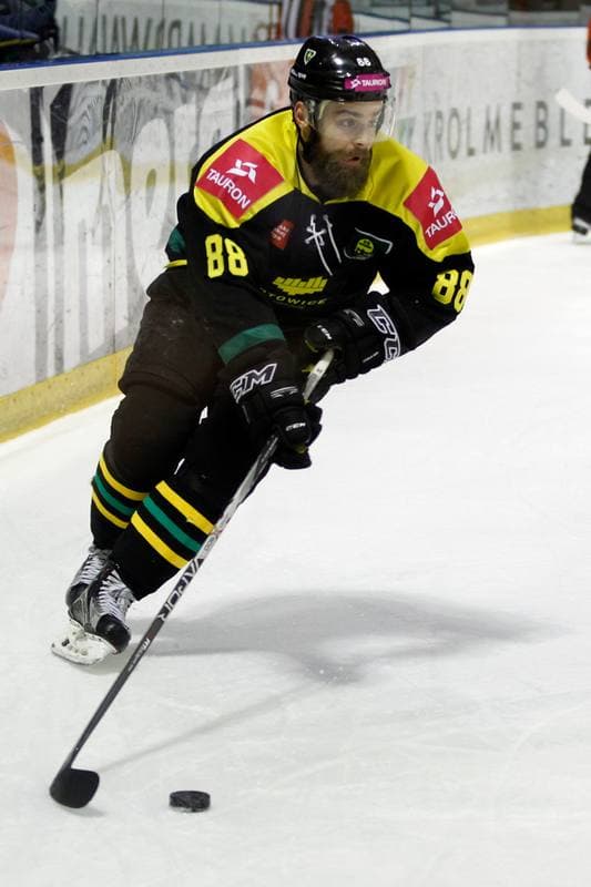 Ice Hockey. Polska Hokej Liga. GKS Tychy - Tauron GKS Katowice. 21.02.2017