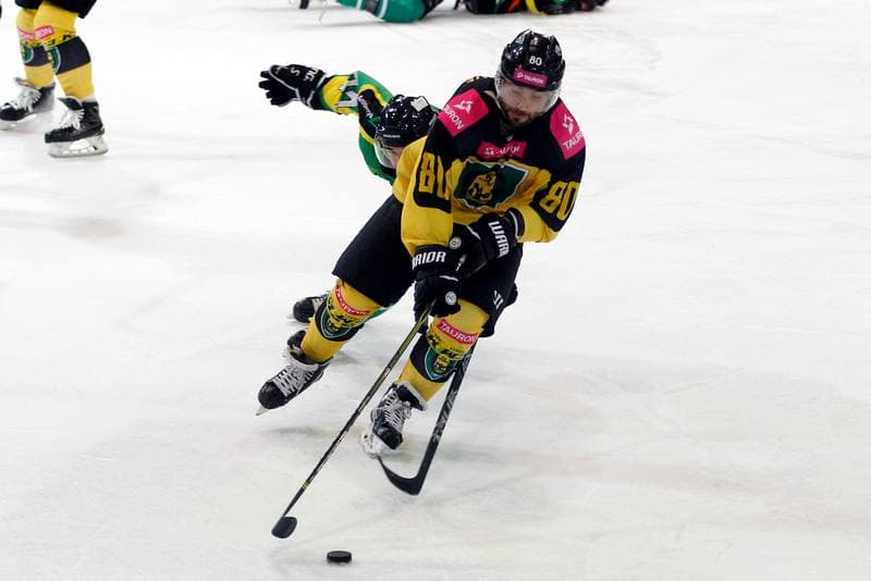 Ice Hockey. Tauron Hokej Liga. Tauron KH GKS Katowice - JKH GKS Jastrzebie. 16.01.2019