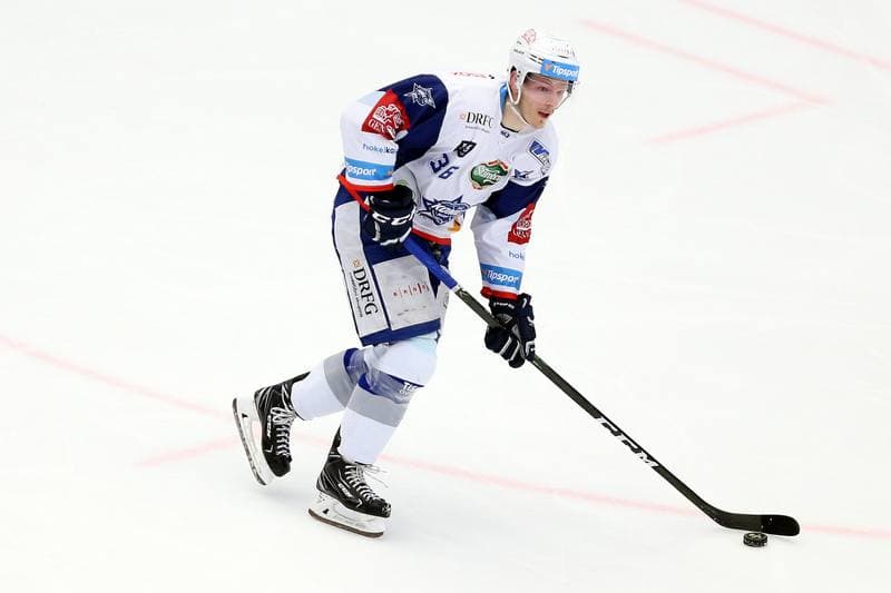 Ice Hockey. Tipsport Extraliga. Ocelari Trinec - Kometa Brno. 14.04.2018