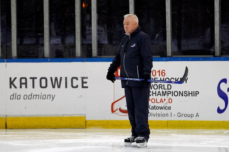Ice Hockey. France. Training. 15.12.2015