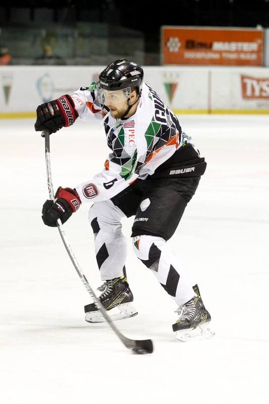 Ice Hockey. Polska Hokej Liga. GKS Tychy - Tauron KH GKS Katowice. 19.11.2017