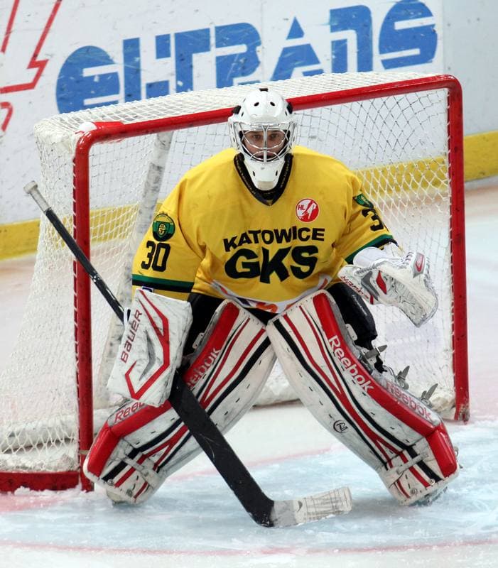 Ice Hockey. Polska Hokej Liga. HC GKS Katowice - GKS Tychy. 14.11.2014