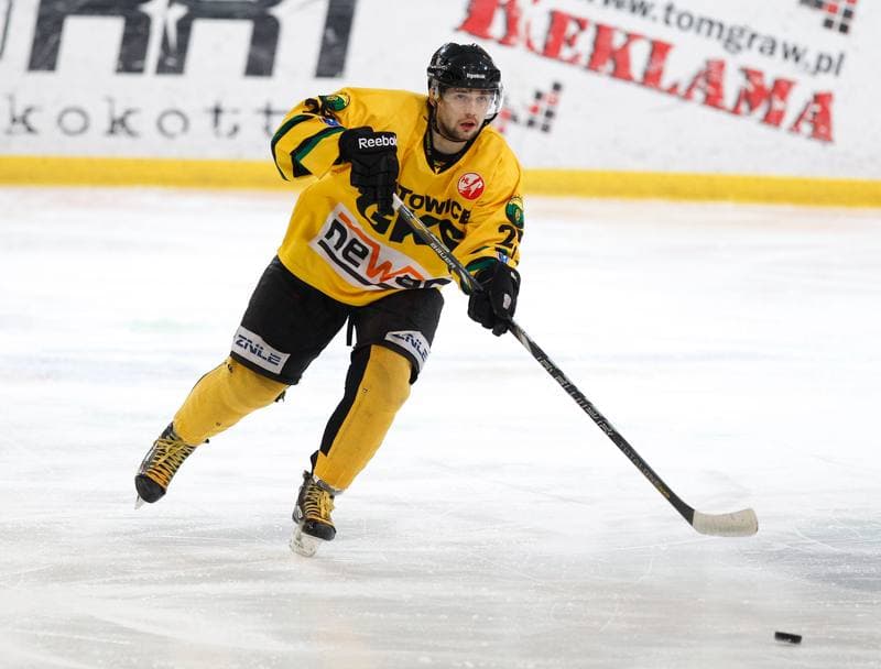 Ice Hockey. Polska Hokej Liga. HC GKS Katowice - Polonia Bytom. 26.01.2014