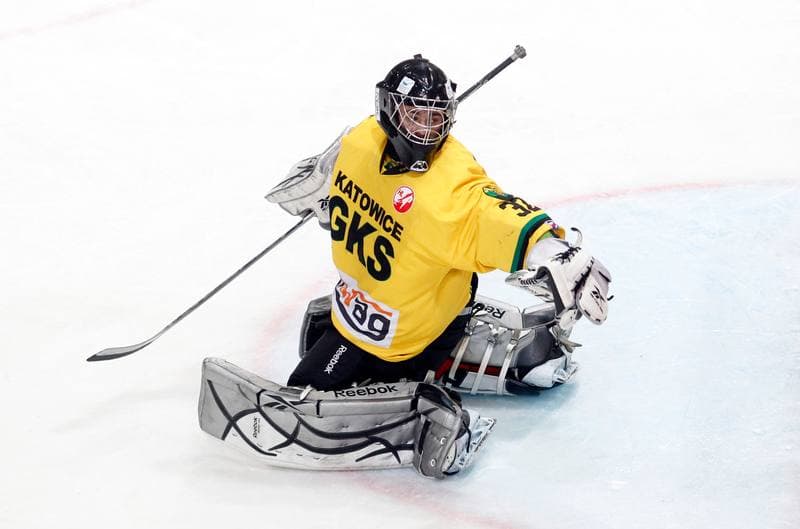 Ice Hockey. Polska Hokej Liga. HC GKS Katowice - Podhale Nowy Targ. 25.02.2014