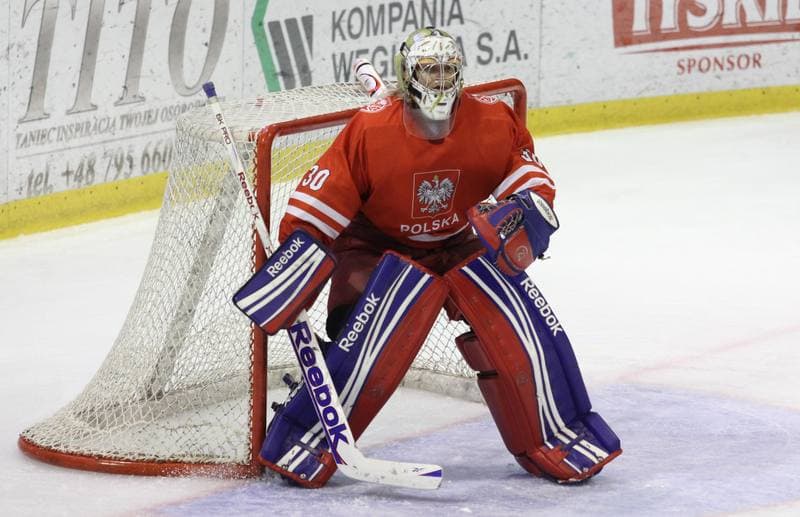 Ice Hockey. Euro Ice Hockey Challenge. Poland - Romania. 08.02.2013