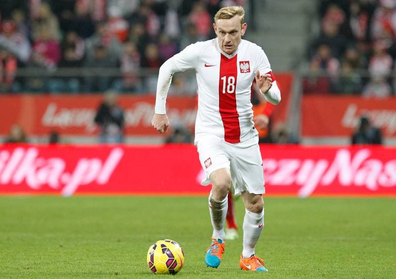 Football. International Friendly. Poland - Switzerland. 18.11.2014