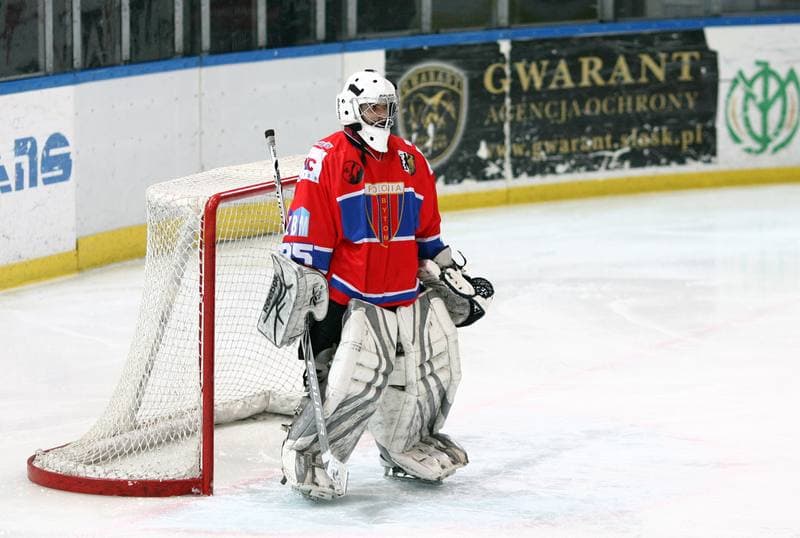 Ice Hockey. Polska Hokej Liga. HC GKS Katowice - Polonia Bytom. 26.01.2014