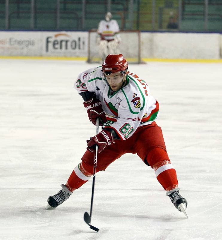 Ice Hockey. I Liga. Zaglebie Sosnowiec - Nesta Torun. 22.03.2015