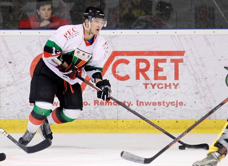 Ice Hockey. Polska Hokej Liga. GKS Tychy - HC GKS Katowice. 25.10.2013