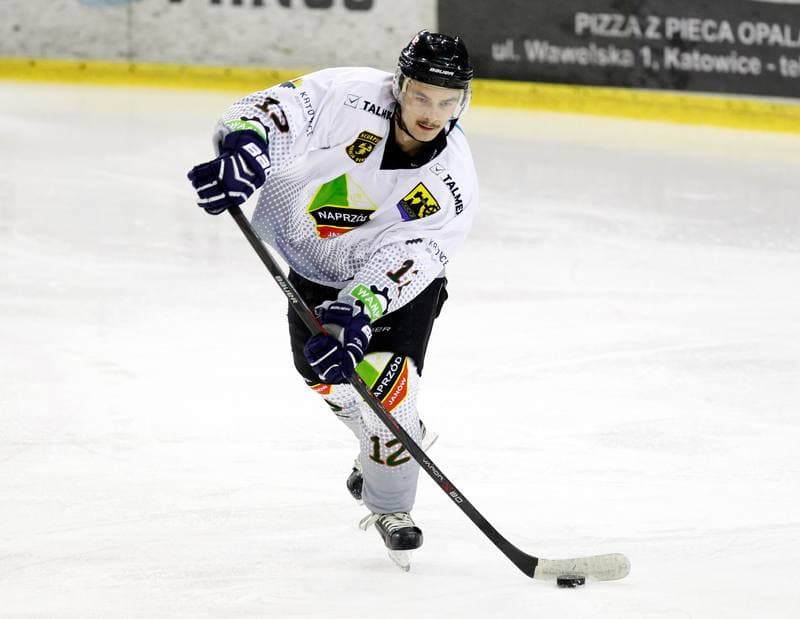 Ice Hockey. Tauron Hokej Liga. Naprzod Janow - Podhale Nowy Targ. 14.11.2014