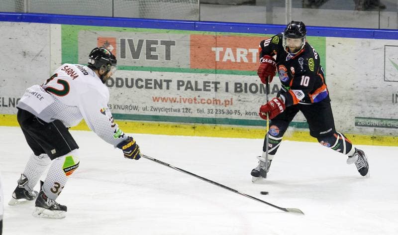 Ice Hockey. Polska Hokej Liga. Naprzod Janow - Ciarko KH Sanok. 18.01.2015