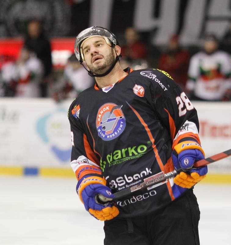 Ice Hockey. Polska Hokej Liga. GKS Tychy - Ciarko KH Sanok. 23.01.2015