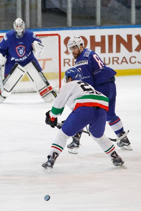 Ice Hockey. EIHC. France - Italy. 18.12.2015