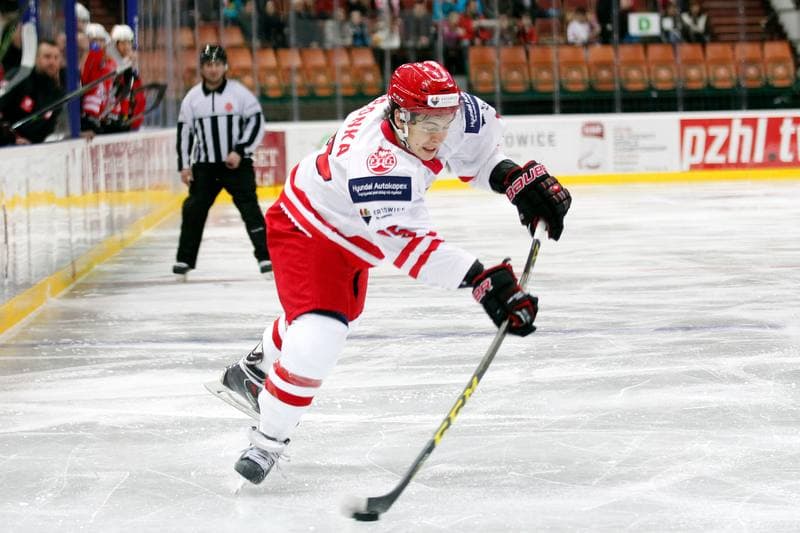 Ice Hockey. Friendly Match. Poland - Stars of PHL. 06.02.2016