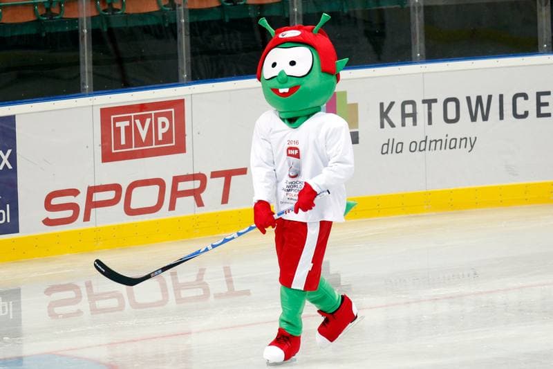 Ice Hockey. Friendly Match. Poland - Stars of PHL. 06.02.2016