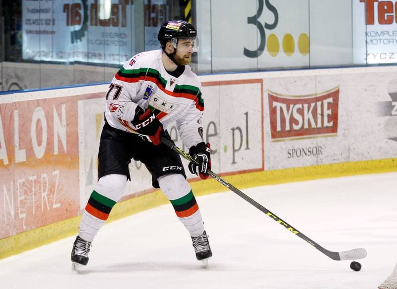 Ice Hockey. Polska Hokej Liga. GKS Tychy - Tatryski Podhale Nowy Targ. 29.02.2016