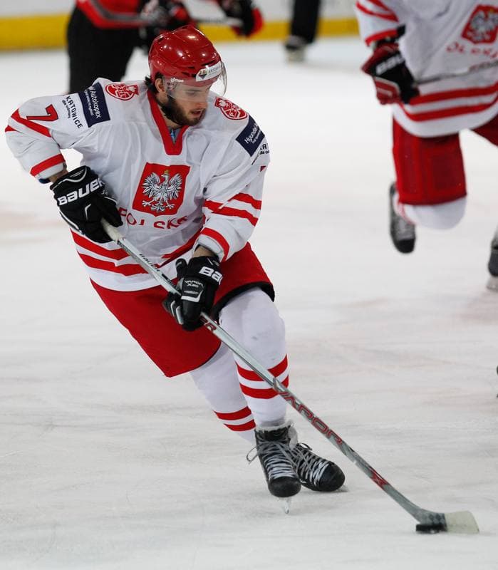 Ice Hockey. International Friendly Match. Poland - Lithuania. 14.04.2016