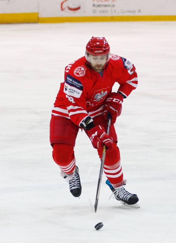 Ice Hockey. International Friendly Match. Poland - Korea. 16.04.2016
